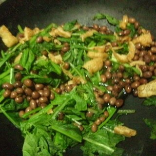 いんげん豆とお揚げと小松菜のソテー
